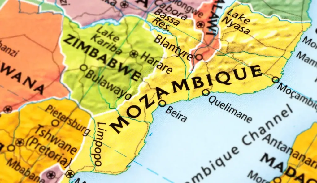 Come Roberto Zolho ha trasformato la fauna del Mozambico dopo la guerra civile