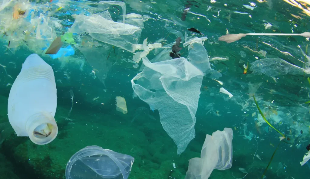 La minaccia nascosta: inquinamento da plastica e olio dopo il naufragio in India