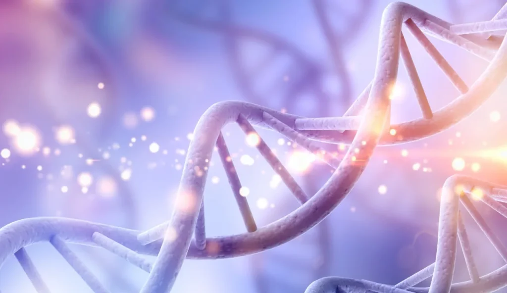 Come il DNA può svelare l'identità delle vittime nei disastri di massa