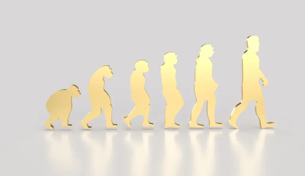 Il primo cranio denisovano quasi completo svela il volto di un antico cugino umano