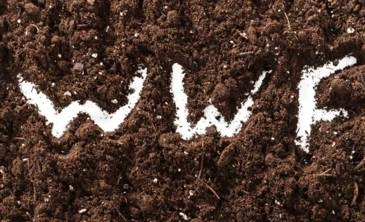 Dal controllo alla collaborazione: il nuovo modello del WWF dopo le denunce del 2019