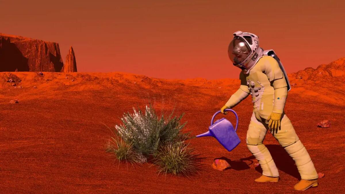 Coltivazioni del futuro: come le piante senza semi possono rivoluzionare l’agricoltura e le missioni spaziali - 