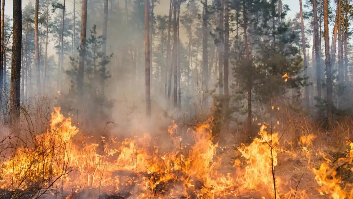 Fumo di incendi canadese minaccia la qualità dell'aria nel Midwest USA - 