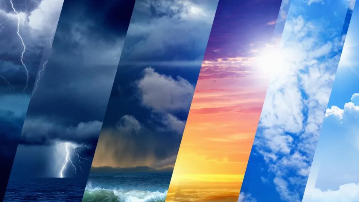 Come coinvolgere i tuoi amici nell'azione climatica - 
