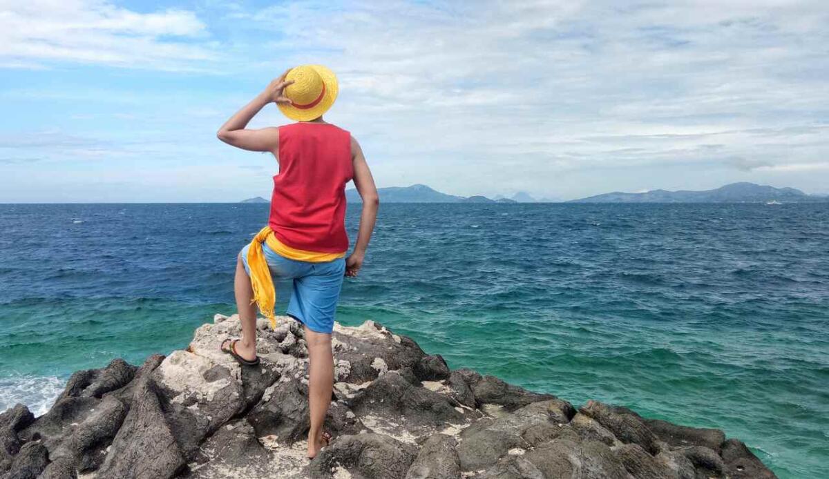 I momenti chiave di One Piece: cosa guardare per capire la trama principale - 