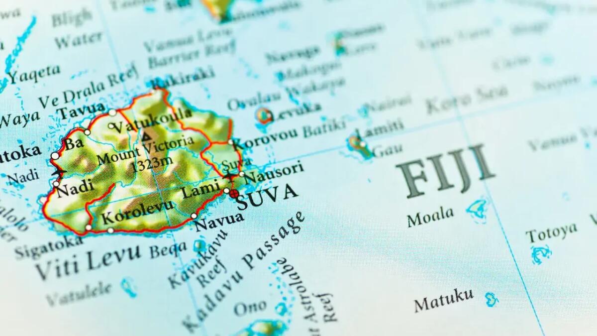 Fiji: le piante sferiche che trasformano formiche aggressive in alleate - 