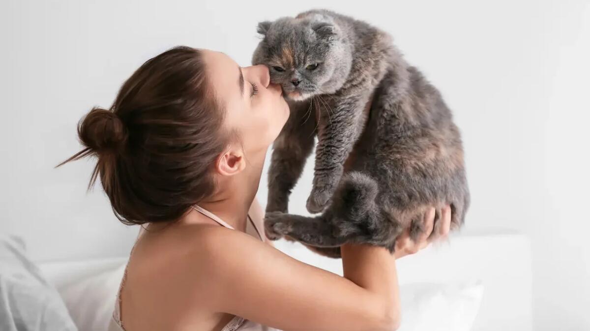 Hai notato che il tuo gatto ti segue ovunque? Ecco perché lo fa - 