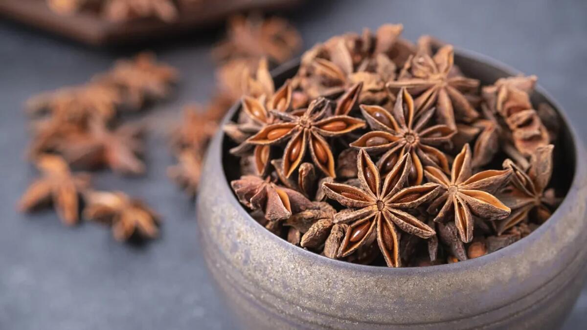 Salvare l'anice stellato himalayano: la lotta della comunità Monpa - 