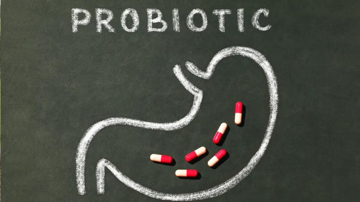Il ceppo che protegge (e quello che danneggia): cosa rivelano gli studi sui probiotici - 
