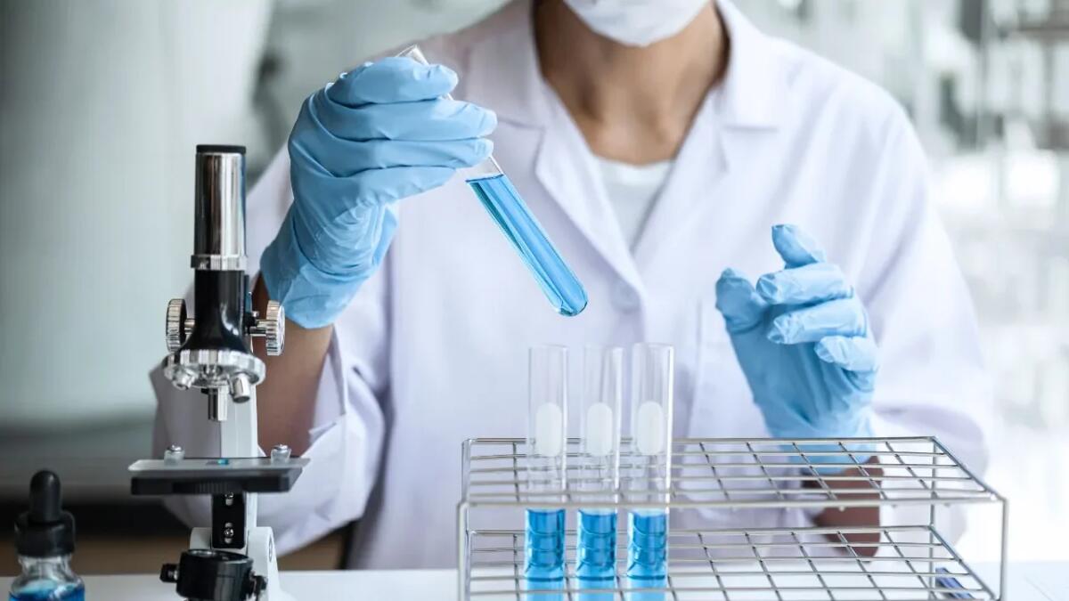 Tripeptidi “armatura”: come preservare le proteine semplicemente asciugandole - 