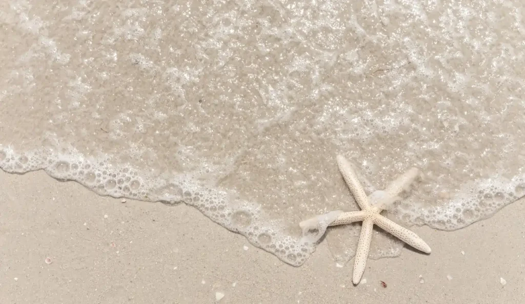 Il batterio che potrebbe svelare il mistero delle stelle marine che si sciolgono