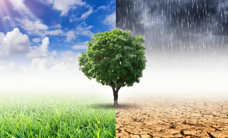 Come coinvolgere i tuoi amici nell'azione climatica