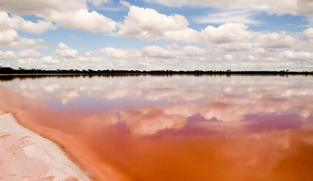I laghi rosa dell’Australia rischiano di sbiadire: il clima minaccia uno dei suoi tesori naturali