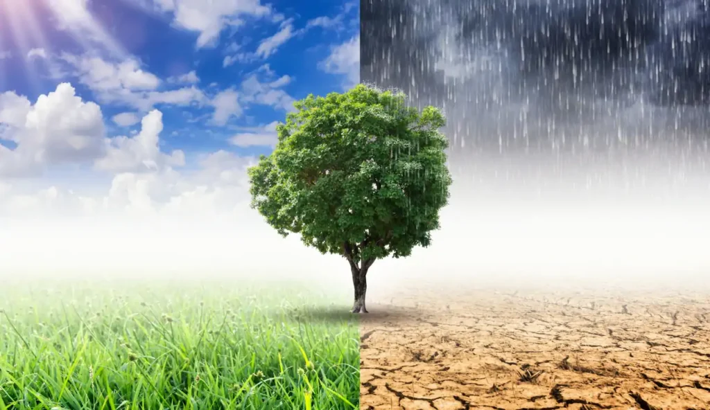 Ecco come identificare i punti di svolta positivi per il clima