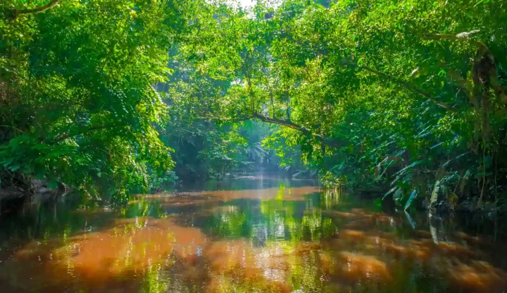 Minacce alla terra brasiliana: la corsa ai minerali critici mette a rischio le comunità rurali