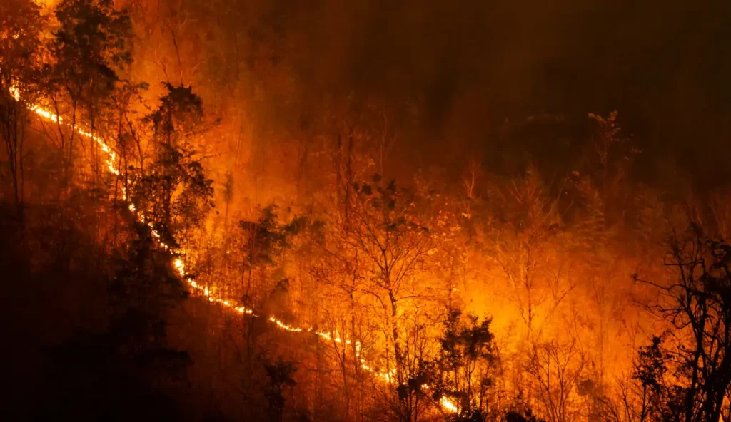 Fumo di incendi canadese minaccia la qualità dell'aria nel Midwest USA