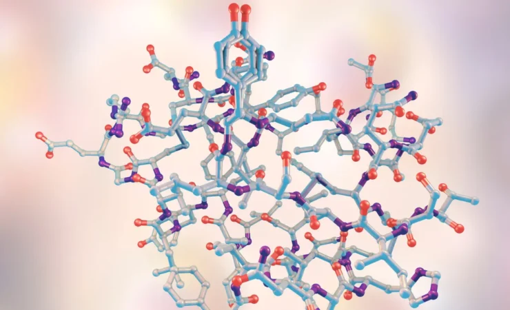 Nuovi studi spiegano come i tripeptidi proteggano le proteine con una corazza "invisibile"