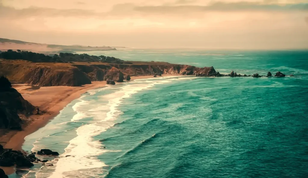 Conservazione ambientale nella Bassa California: quando il dialogo vale più dei decreti