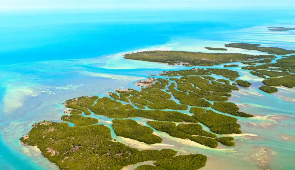 Florida Keys: come le acque reflue stanno minacciando l’ecosistema marino