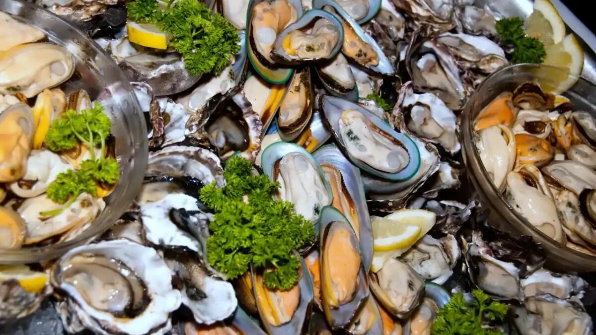 Ostriche e cozze allevate sono davvero una scelta sostenibile dal punto di vista ambientale? - 