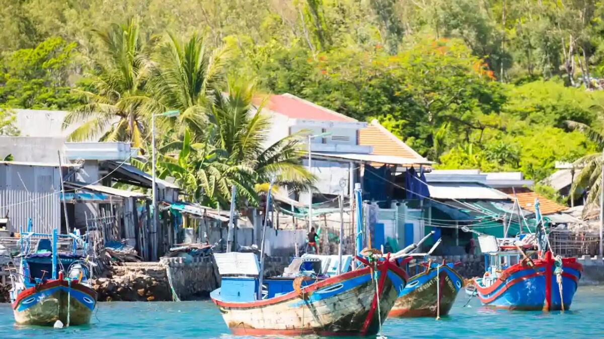 Impatti devastanti della pesca eccessiva in Asia sudorientale - 