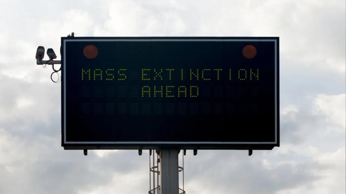 Stiamo davvero affrontando una sesta estinzione di massa? - 