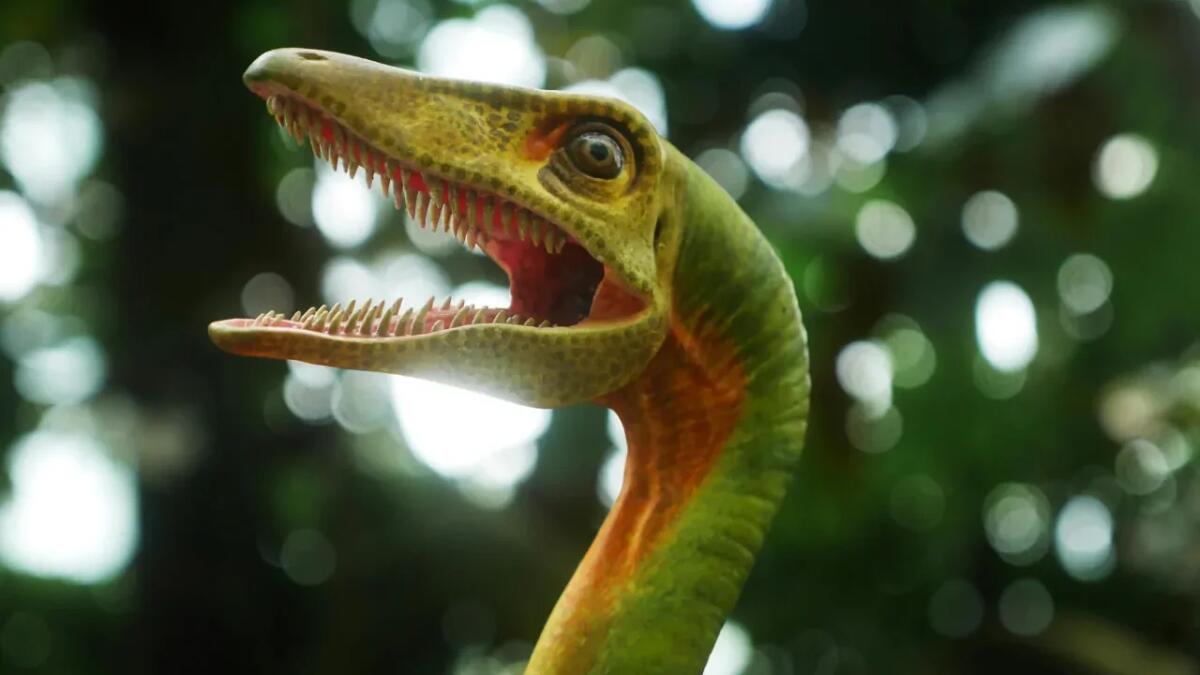 Dramma nel Giurassico: i fossili di Solnhofen svelano la sorte di due piccoli pterosauri - 