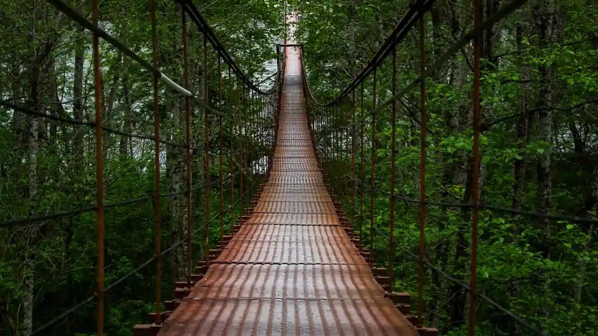 Il ponte storico rinato: la straordinaria storia del Salem Shotwell in Alabama - Crediti: Depositphotos