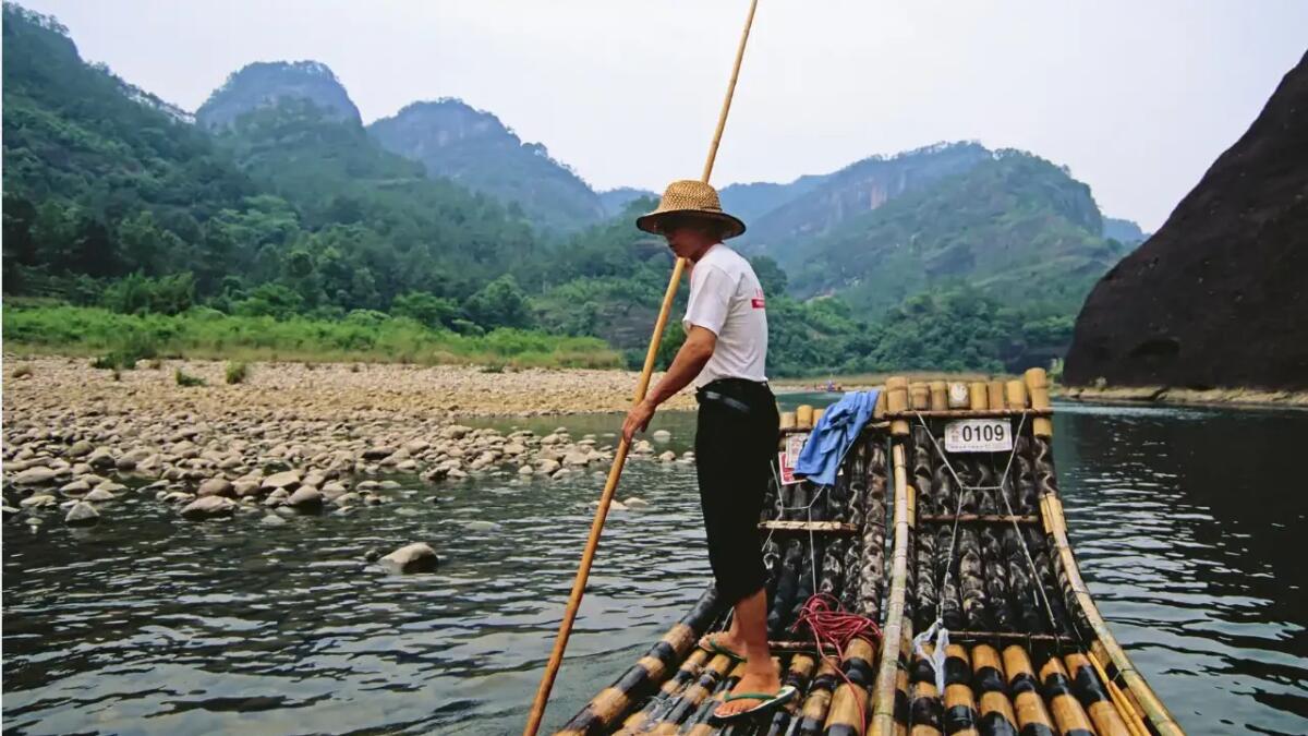 Foto scioccanti rivelano l'impatto devastante della pesca eccessiva in asia sud-orientale - 