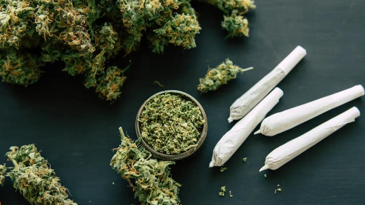Concezione e cannabis: cosa sappiamo davvero sugli effetti del THC sulla fertilità femminile - 
