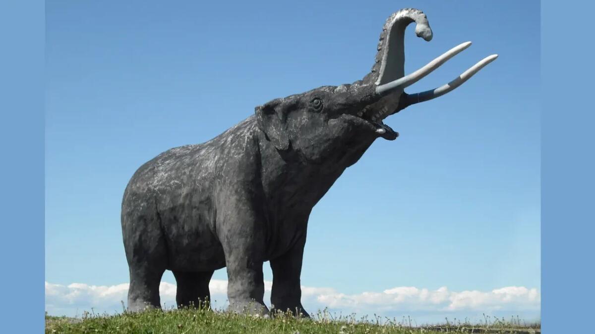 Il viaggio dei mastodonti: migrazioni climatiche e una complessità genetica svelata - 