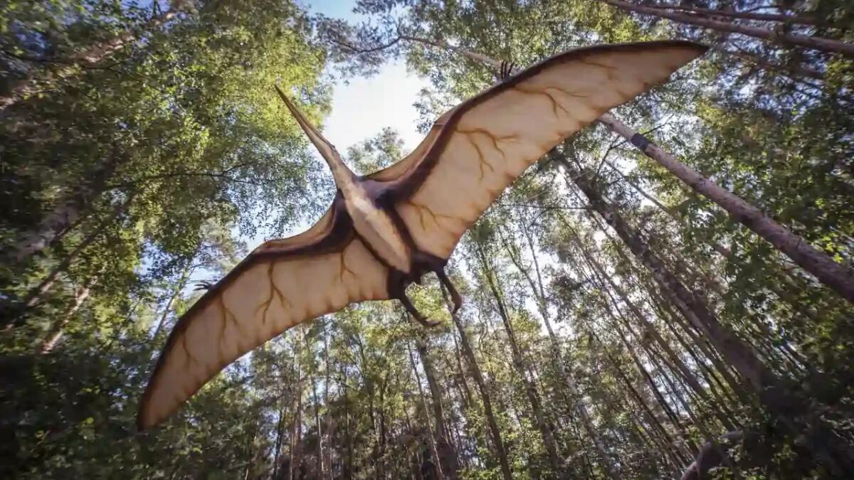 Come una tempesta ha spezzato le ali ai baby pterosauri - 