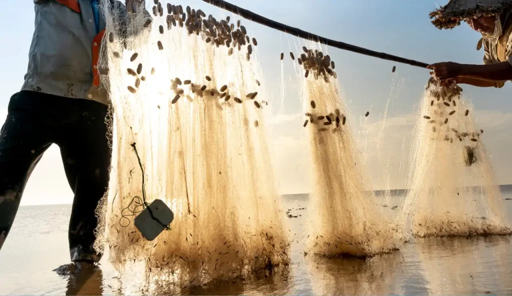 Come le foto di Nicole Tung rivelano l'impatto devastante della pesca eccessiva in Asia Sudorientale