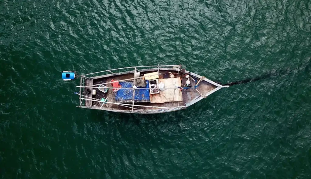 Foto scioccanti rivelano l'impatto devastante della pesca eccessiva in asia sud-orientale