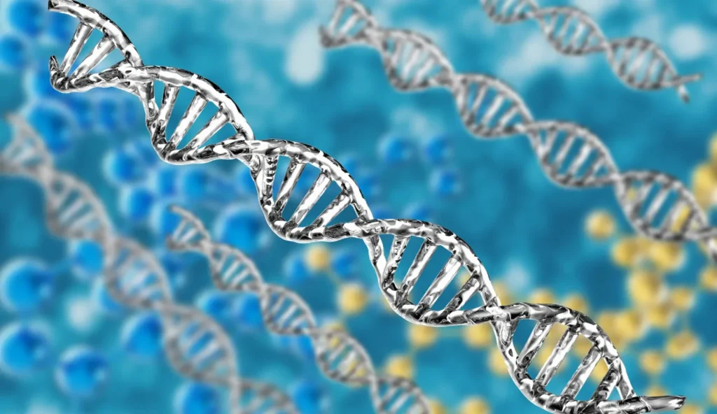 Il gene perduto che potrebbe rivoluzionare il trattamento della gotta