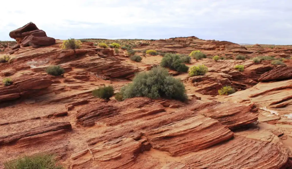 Viaggio nel cuore della terra: il tesoro nascosto del deserto del Mojave