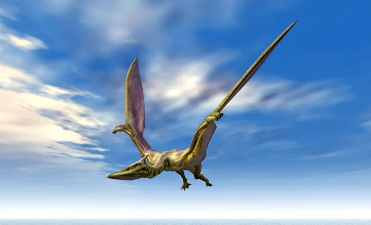 Gli antichi temporali che hanno segnato la sorte dei giovani pterosauri