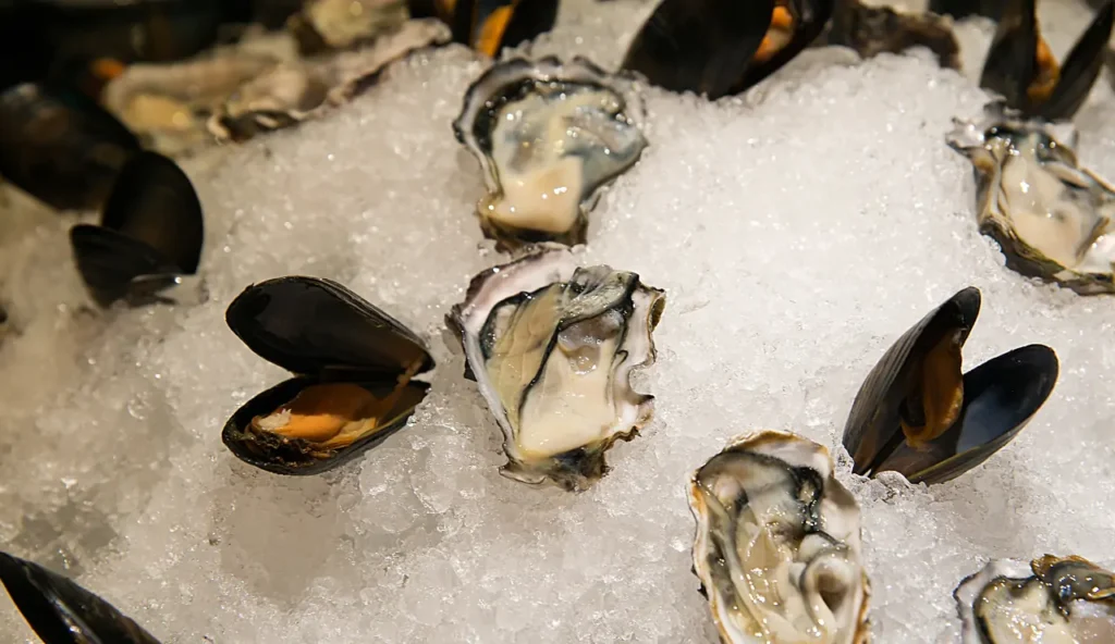 Ostriche e cozze allevate sono davvero una scelta sostenibile dal punto di vista ambientale?