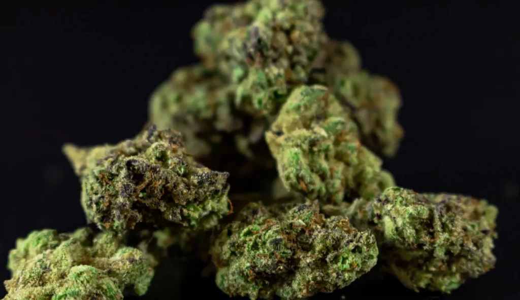 Concezione e cannabis: cosa sappiamo davvero sugli effetti del THC sulla fertilità femminile