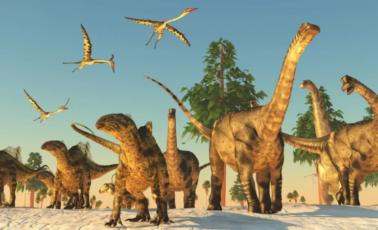 Tempeste giurassiche: la tragica fine dei giovani pterosauri