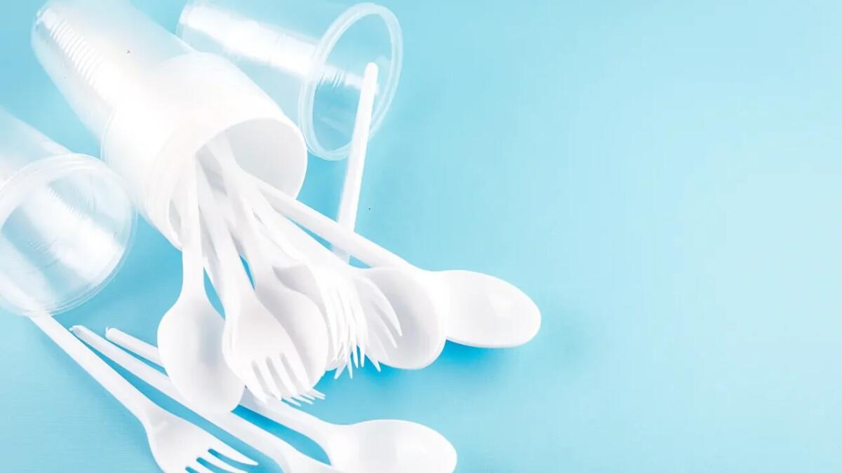 Come la cultura dell'usa e getta ci ha intrappolati nella plastica - 