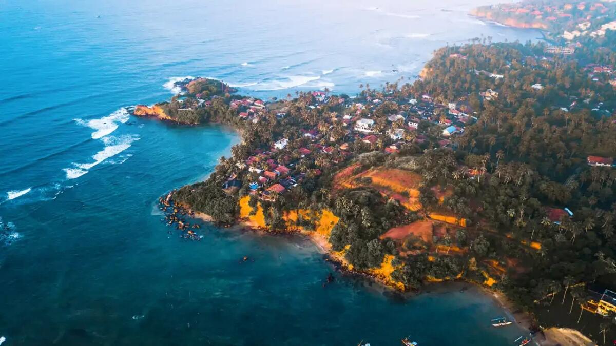 Sri Lanka invita a cucinare pesci invasivi per salvare gli ecosistemi - 