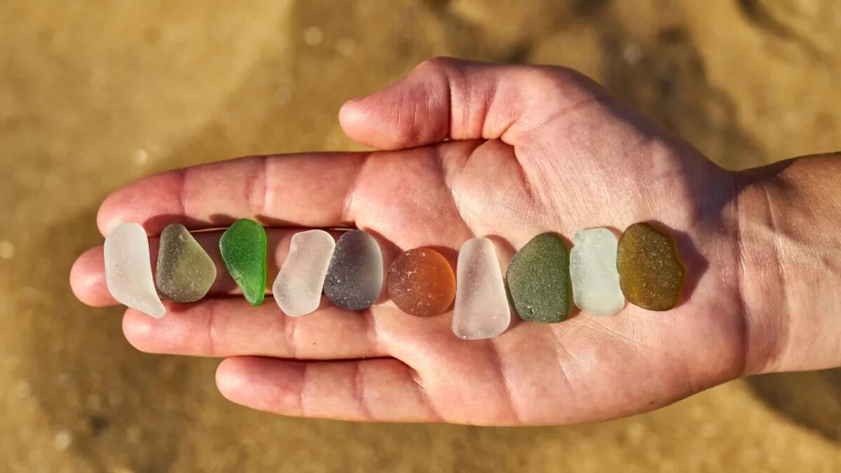 Come il vetro riciclato può salvare le coste dall'erosione - 
