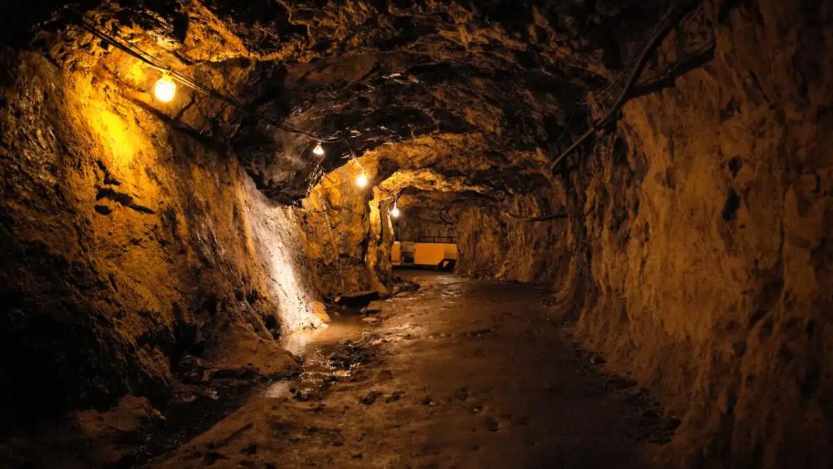 Nickel, deforestazione e diritti violati: perché la Norvegia ha detto no alla miniera in Indonesia - 