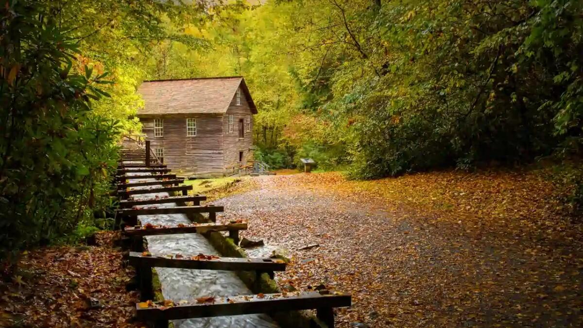 Autunno nel Midwest degli USA: una sosta magica al Franklin Cider Mill - 