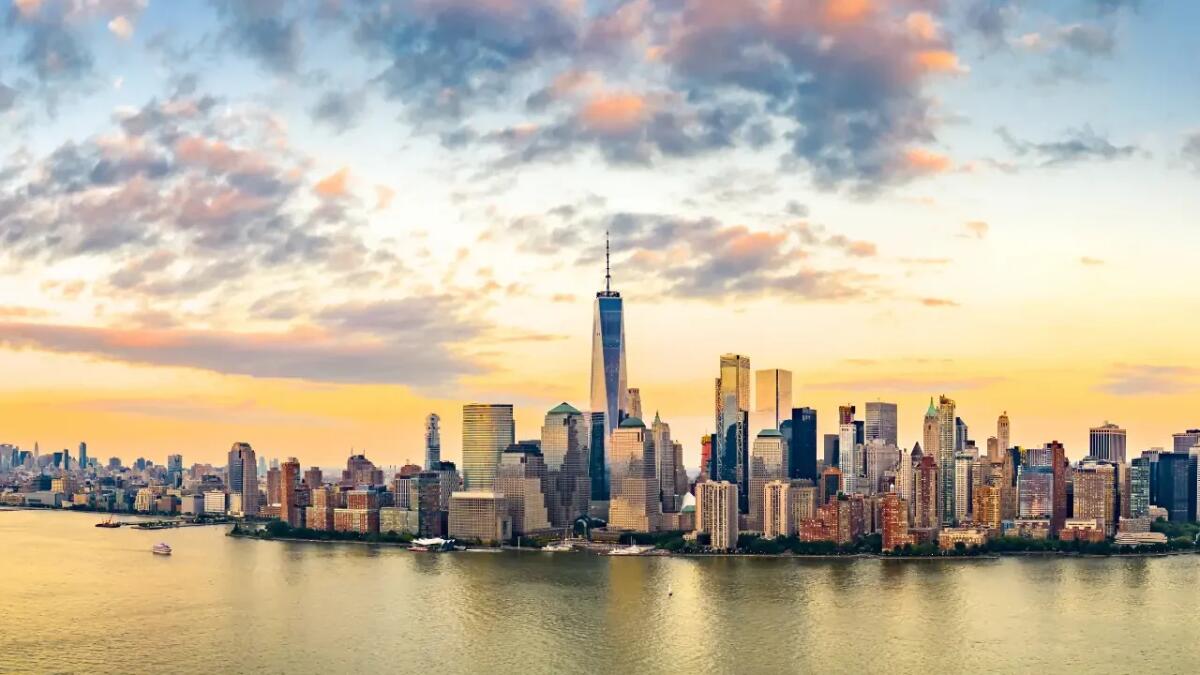 Come i topi di New York possono rivoluzionare la città con le loro abitudini notturne - 