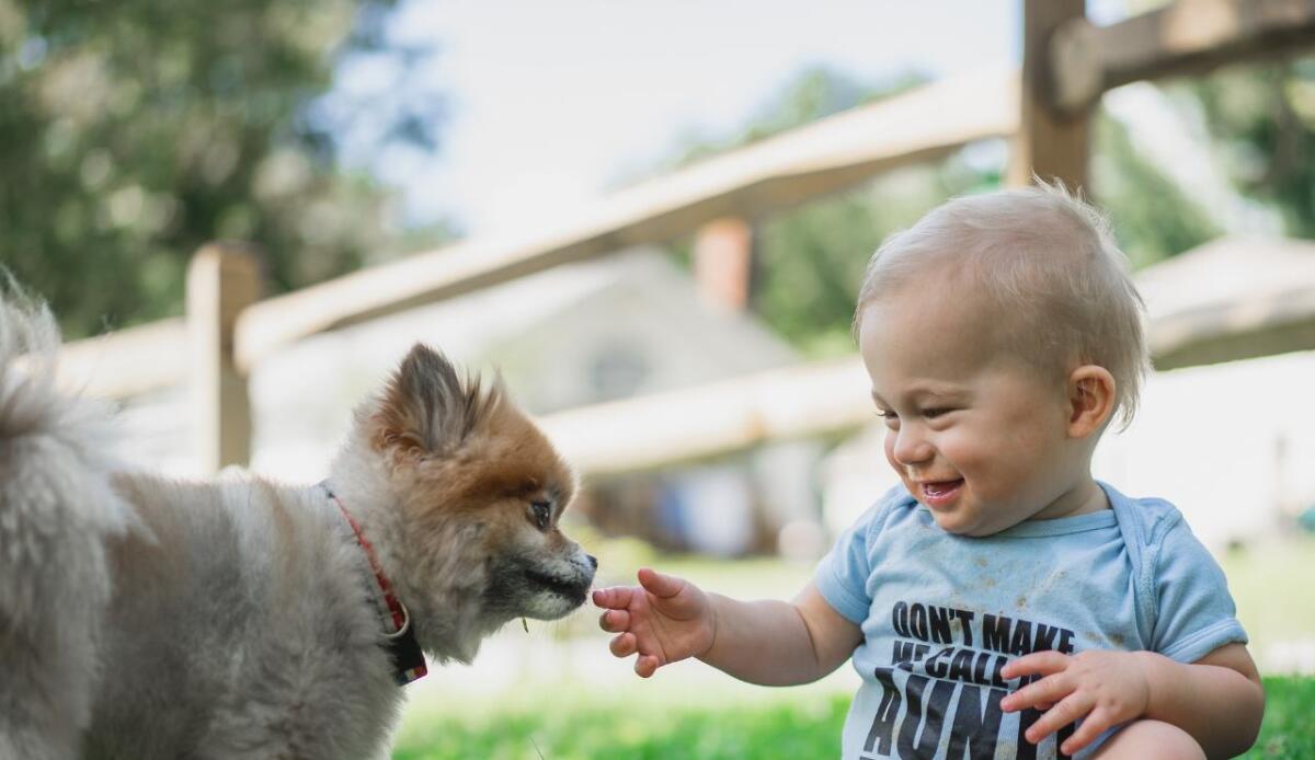 Bambini e animali: benefici, rischi e regole per una convivenza serena - 