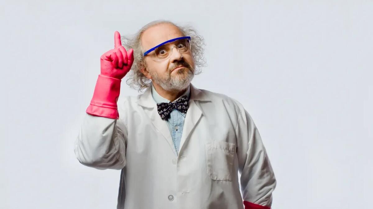 Pipistrelli brilli e cacio e pepe: le ricerche più curiose premiate dagli Ig Nobel - 