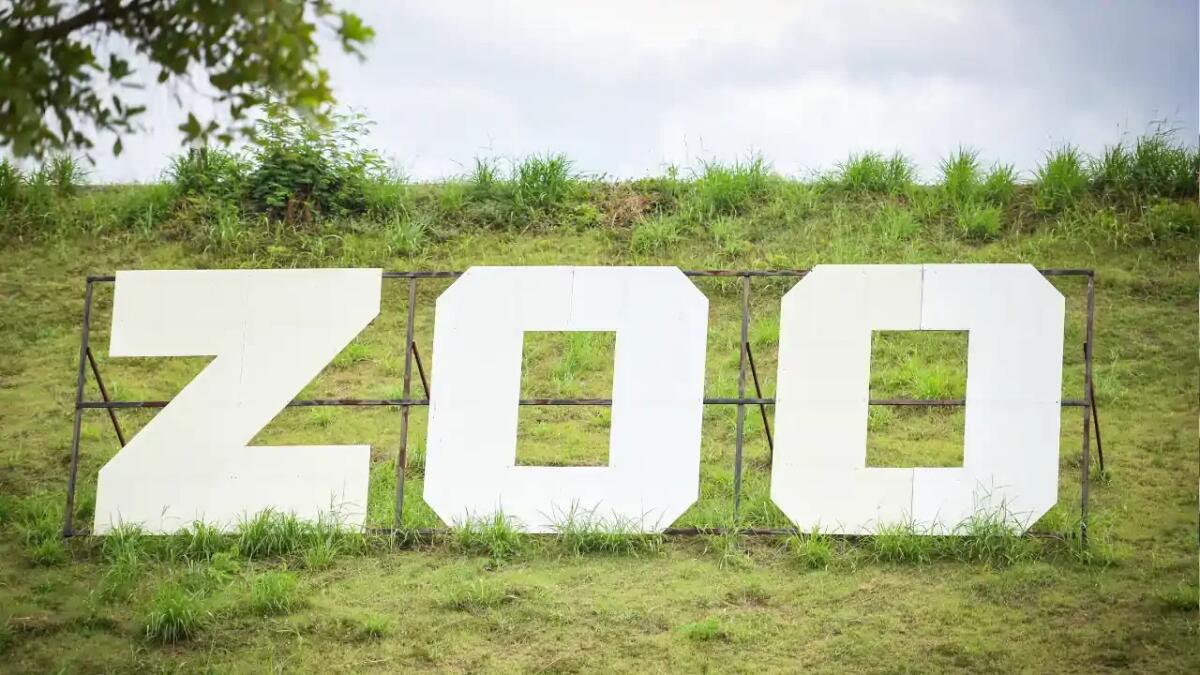 Viaggio tra le rovine di uno zoo perduto che vuole rinascere - 