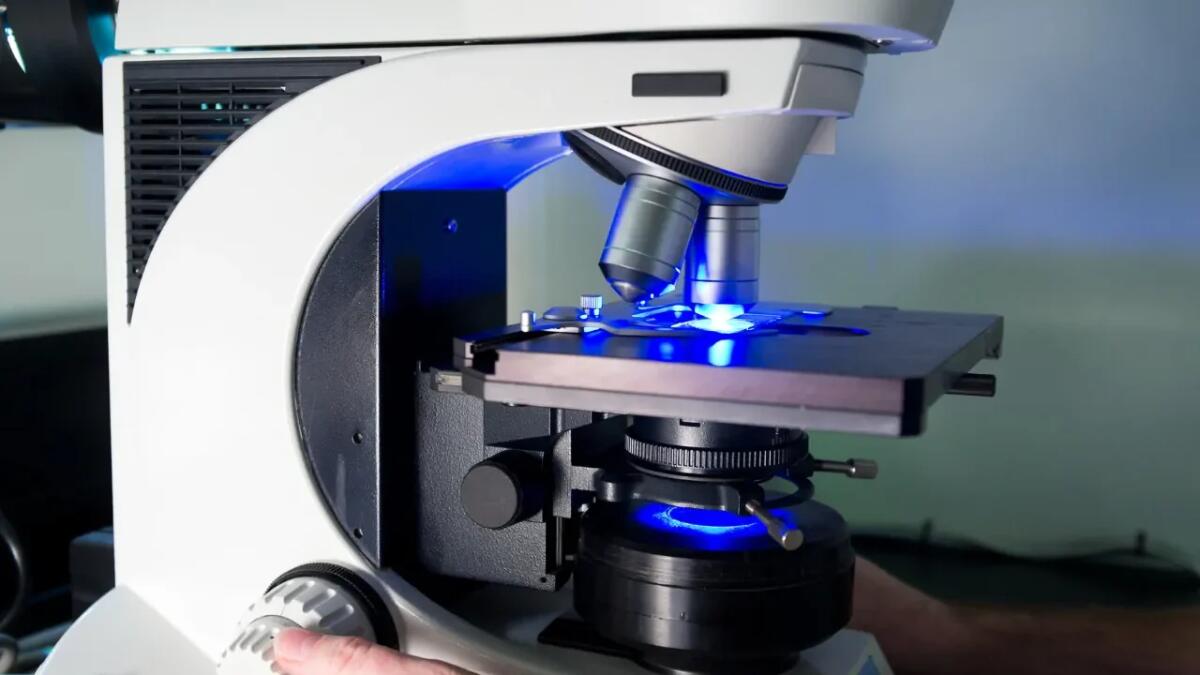 Nanotubi di carbonio e impulsi elettronici: la scoperta che rivoluziona la microscopia - 